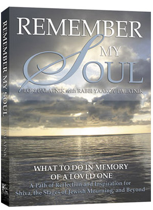 remember_my_soul_lg